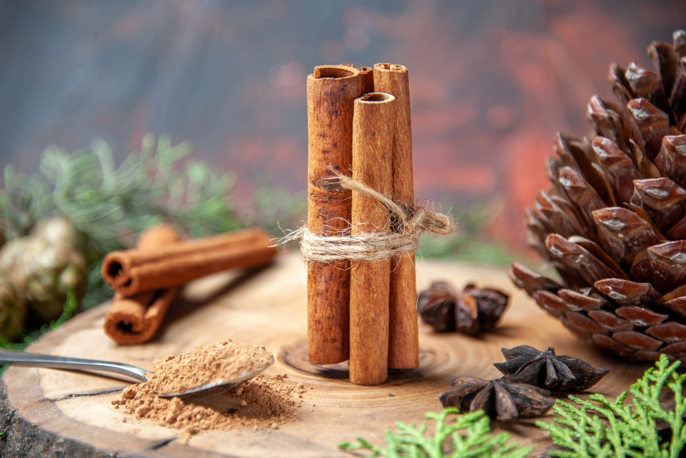 Ayurvedic wellness blogs